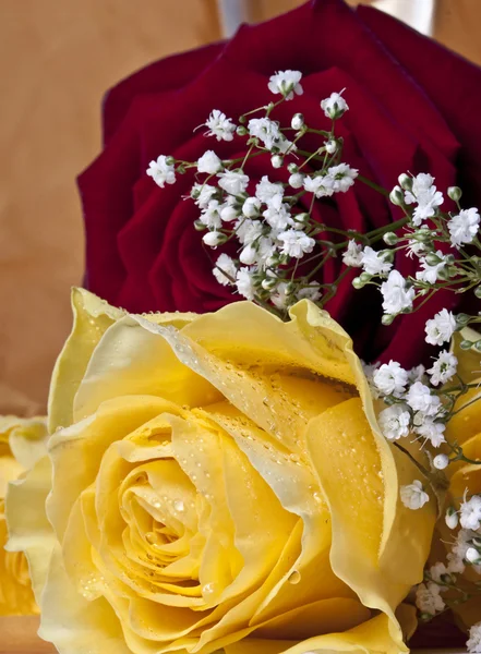 Červená a žlutá růže — Stock fotografie
