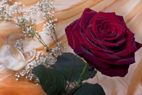 Красная роза и бокал вина — стоковое фото