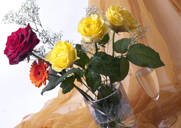 Makro Çekimi Güzel Çiçekler Için — Stok fotoğraf