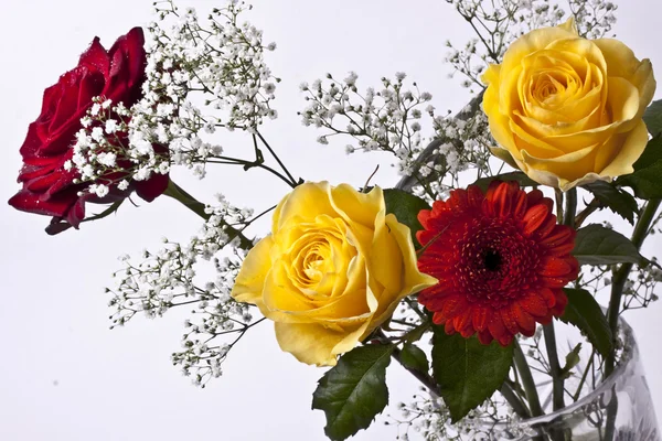 Macro Disparar Para Hermosas Flores —  Fotos de Stock