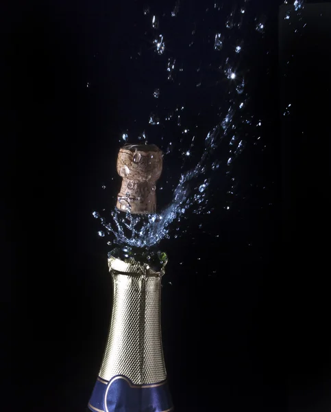 Şampanya bir sıçrama — Stok fotoğraf