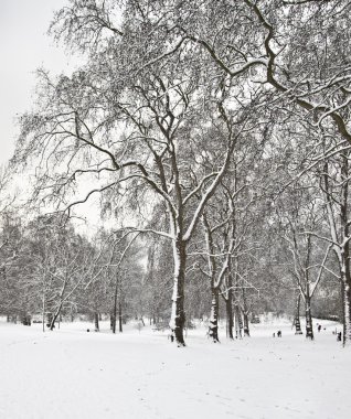 Snow and fog in Green Park before Christmas in London clipart