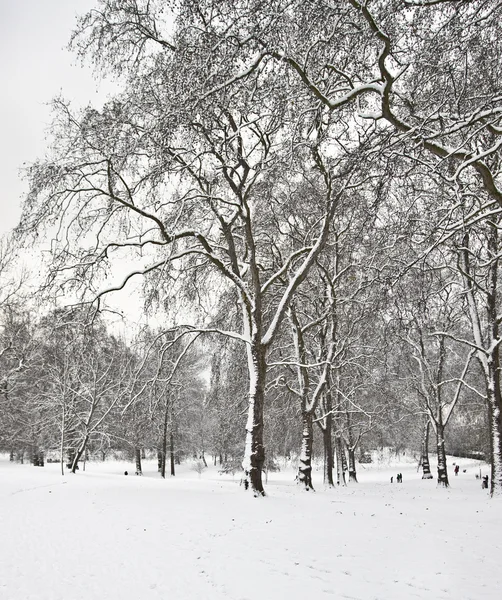 Snö och dimma i grön park före jul i london — Stockfoto