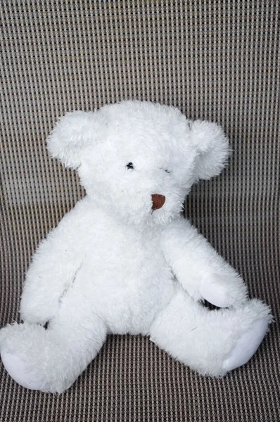 Teddybär Sitzt Auf Stuhl — Stockfoto