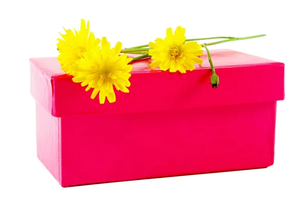 Caja con flores — Foto de Stock