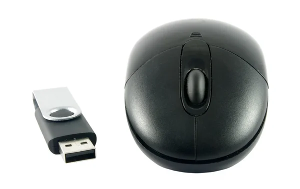 Mouse with USB memory stick — Stock Photo, Image
