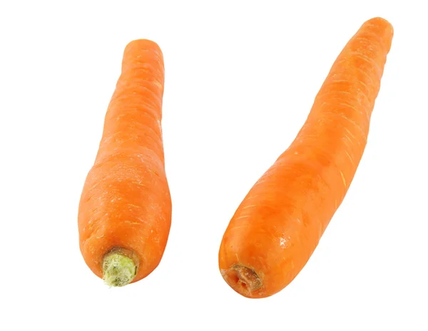 Duas cenouras — Fotografia de Stock