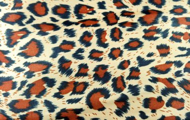 leopar doku