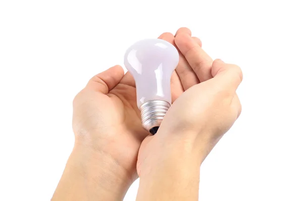 Bulb in hands on a white background — Stock Photo, Image