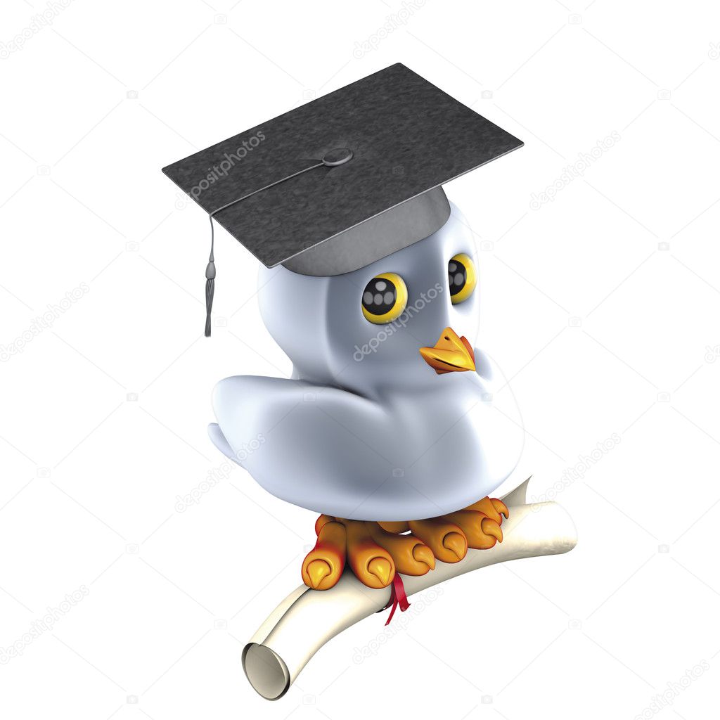 Bird graduate
