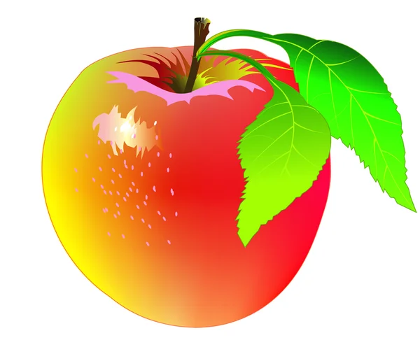 Červené Jablko — Stockový vektor