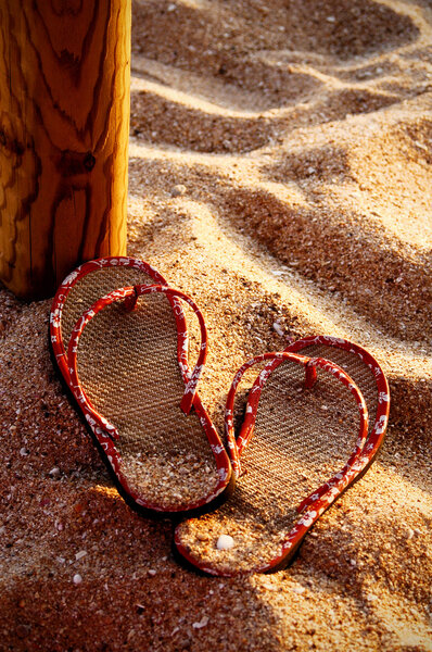 Flip flop on the sand of the beach