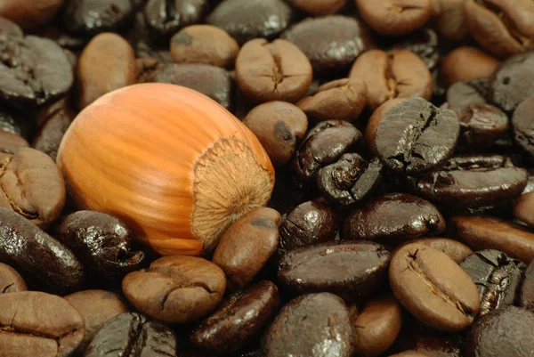 Coffee and nut — Stock Photo, Image