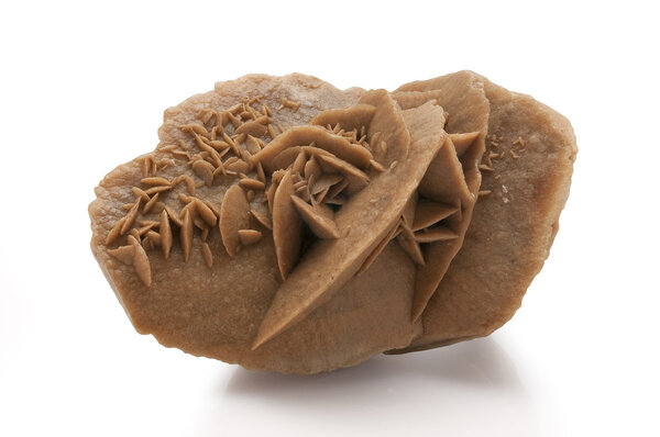 Lenticular gypsum crystallized form known as desert rose