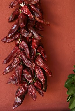kurutulmuş biber Endülüs kırmızı duvar arka plan sun