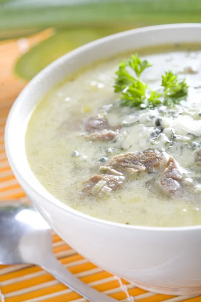 Pore soup, bullion with meat — Stock Photo, Image