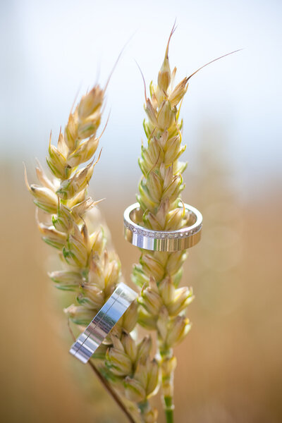 Свадебные кольца