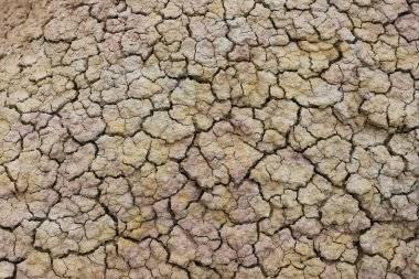 yağmur Badlands Ulusal Parkı ihtiyacı