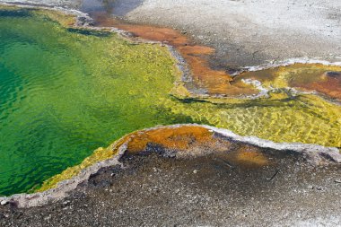 Yellowstone Ulusal Parkı kaplıca