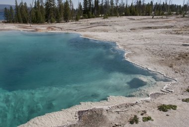 Yellowstone Ulusal Parkı 'ndaki Uçurum Havuzu