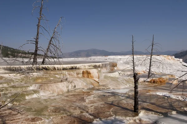 Yellowstone mamut Kaplıcalar Teras — Stok fotoğraf