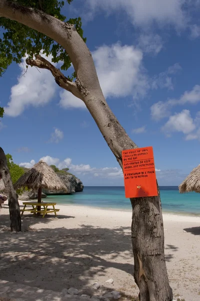 Warning on tropical Beach — Stock Photo, Image