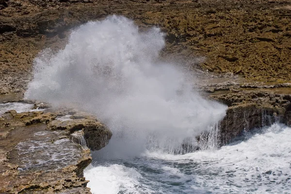 Волны бьются о скалы в Бока Пистоль, Кюрасао — стоковое фото