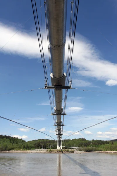 Stock image Trans Alaskan Pipeline