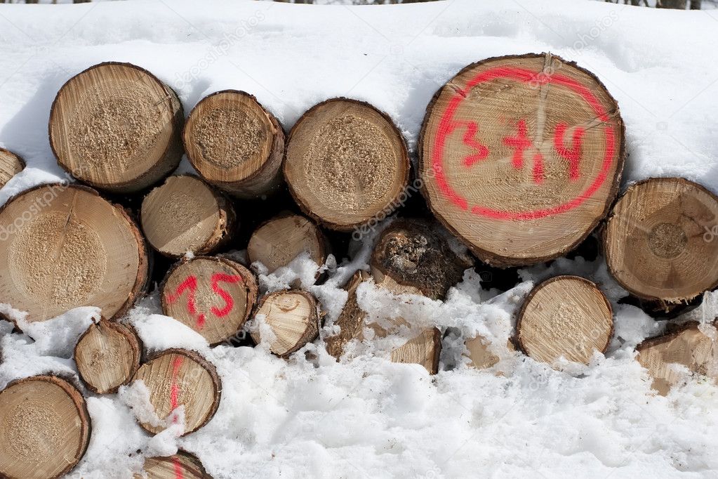 Logs covered with snow
