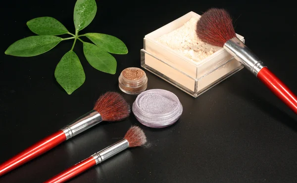 Brush in mineral make-up — Stock Photo, Image
