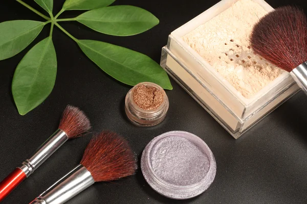 stock image Brush in mineral make-up