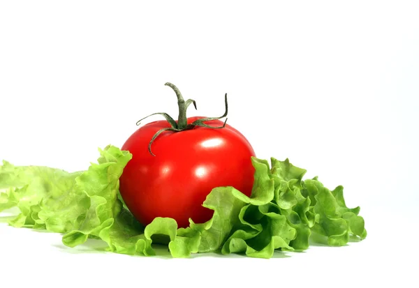 Pomidory i sałatka — Zdjęcie stockowe