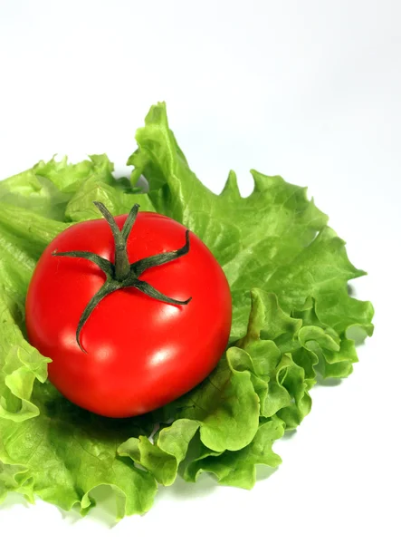 Pomidory Sałatka — Zdjęcie stockowe