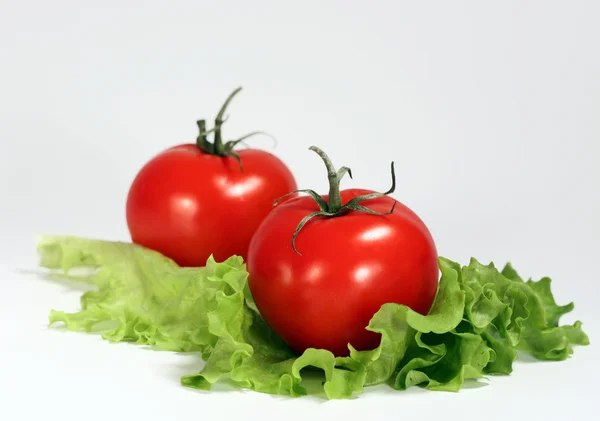 Pomidory Sałatka — Zdjęcie stockowe