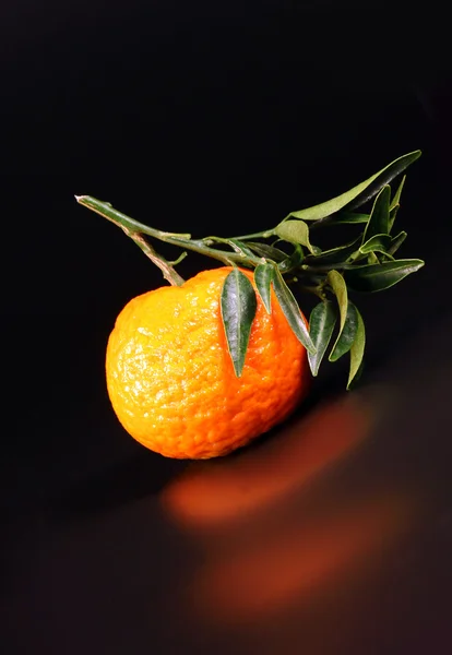 Tangerine on black — Stock Photo, Image