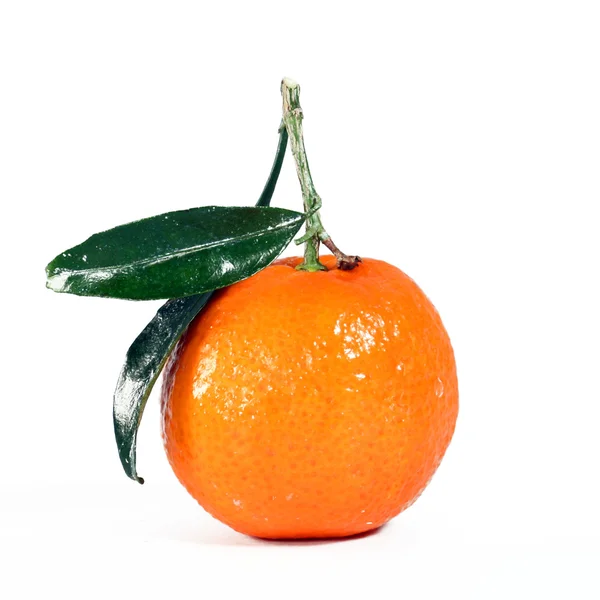 Tangerine Sur Blanc — Photo