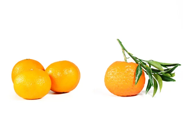 Tangerines on white — Stock Photo, Image