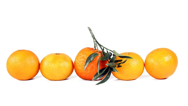 Tangerines Sur Blanc — Photo
