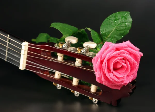 stock image Pink rose and guitar