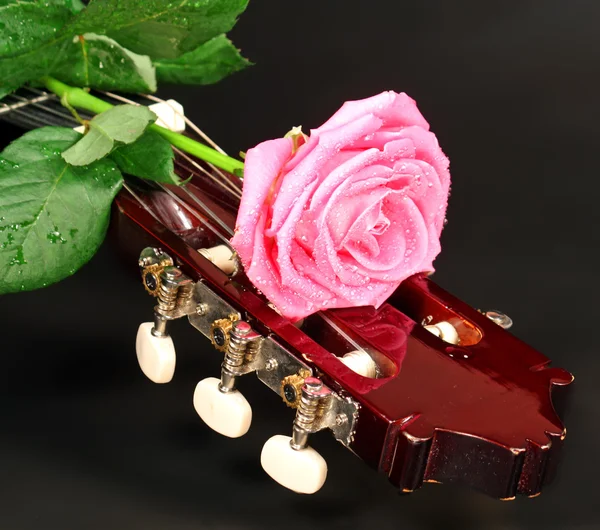 Pink Rose Guitar — Stock Photo, Image