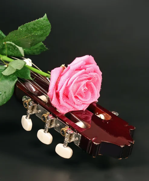 Розовая Роза Гитара — стоковое фото