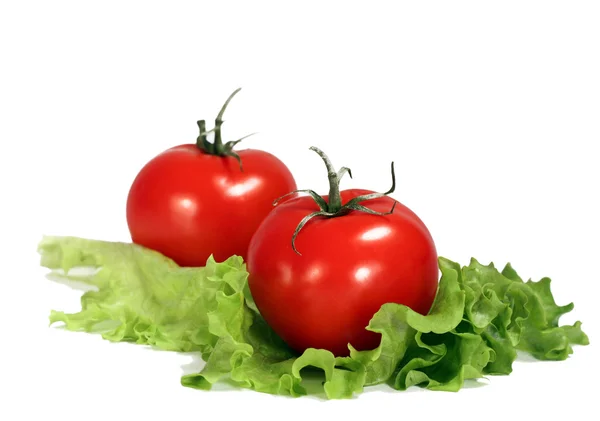 Pomidory i sałatka — Zdjęcie stockowe