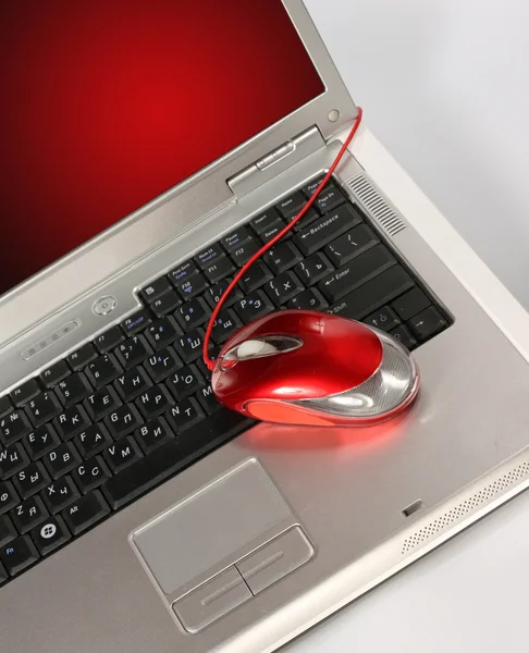 Laptop Mouse — Stock Photo, Image