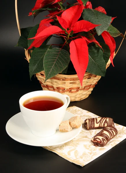 Красная пуансеттия и чай Лицензионные Стоковые Фото