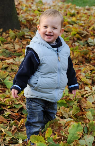 Fröhlich lachender kleiner Junge — Stock Photo, Image
