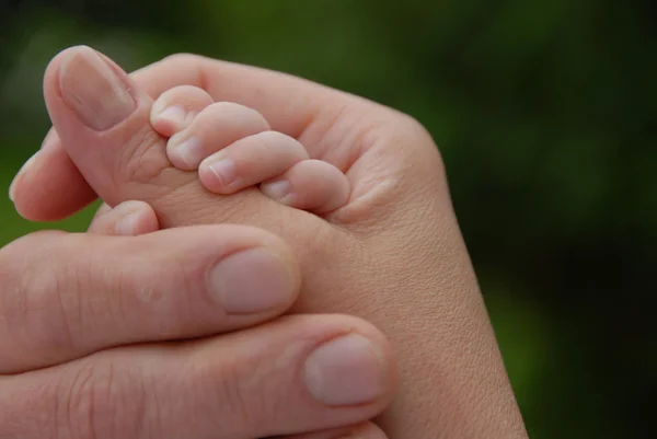 stock image Baby and Mothers Hand