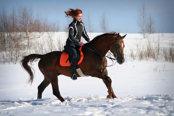 Vintern häst rida Stockbild