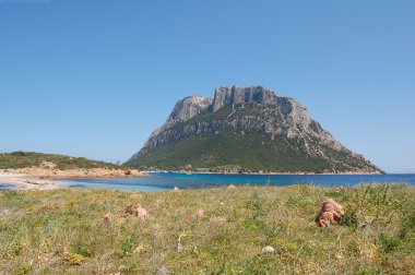 tavolara Adası - Sardunya İtalya'nın peyzaj