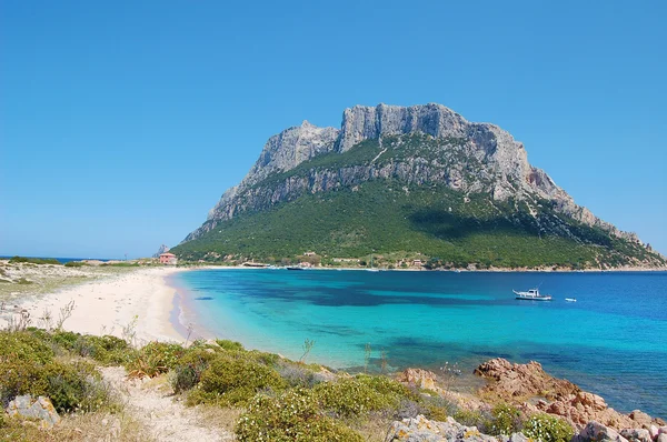 Isola Tavolara Sardegna — Foto Stock