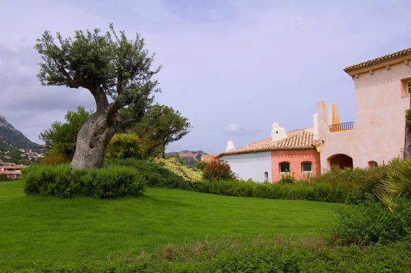 Porto Cervo - Sardunya görünümü